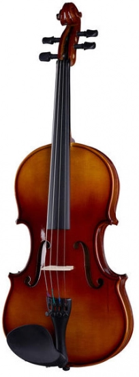 Скрипка 1/2 в комплекте Stagg VN-1/2 фото 1