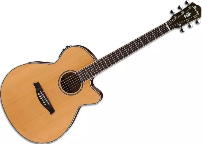 Гитара IBANEZ AEG15II-LG фото 1