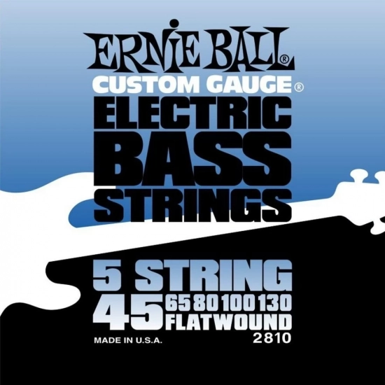 Струны для бас-гитары Ernie Ball 2810 Flat Wound Bass 5 45-130 фото 1