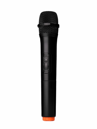 Акустическая система c радиомикрофоном и аккумулятором Leem PR-8 фото 9