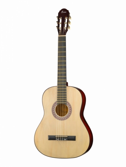 Классическая гитара Foix FCG-1039NA фото 1