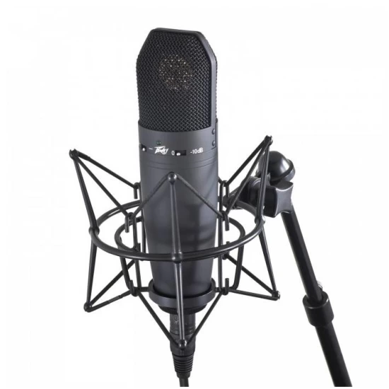 Студийный микрофон PEAVEY Studio Pro M1 фото 3