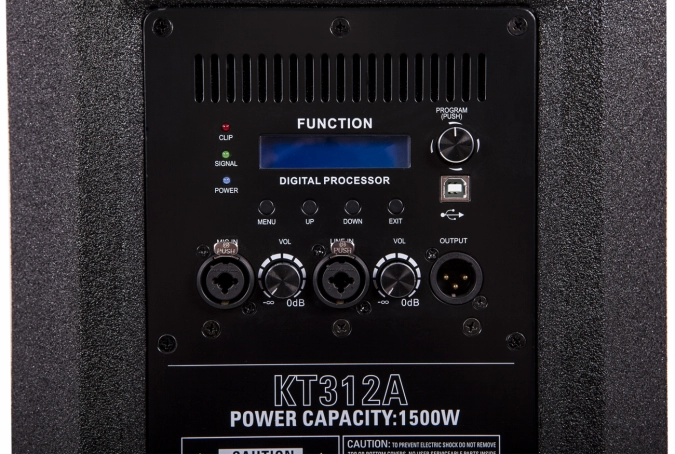 Акустическая система активная Soundking KT312A фото 4