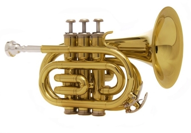 Труба Bb John Packer JP159G фото 1