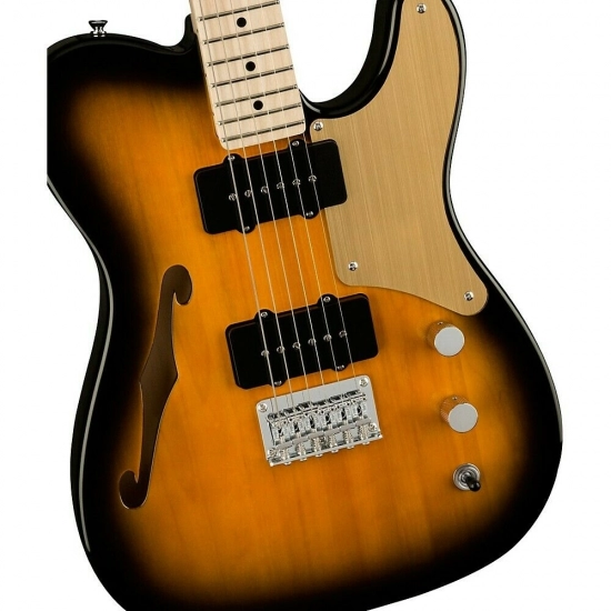 Электрогитара Squier Paranormal Cabronita Telecaster THIM MN GPG 2TS фото 4