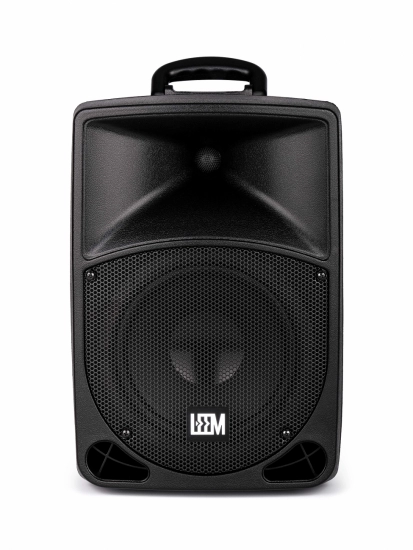 Акустическая система c радиомикрофоном и аккумулятором Leem PR-8 фото 3