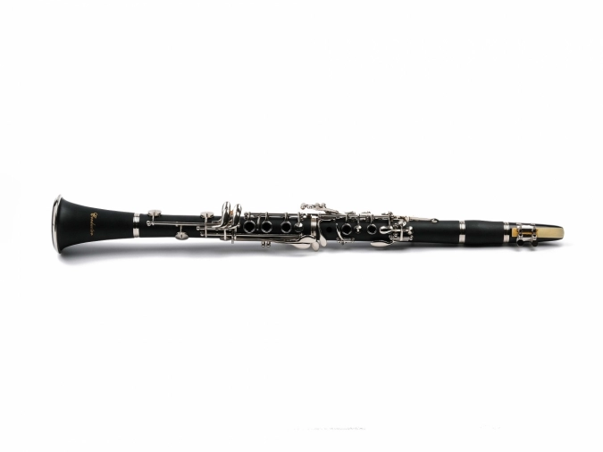 Кларнет FLT FLT-CGB-17 фото 1