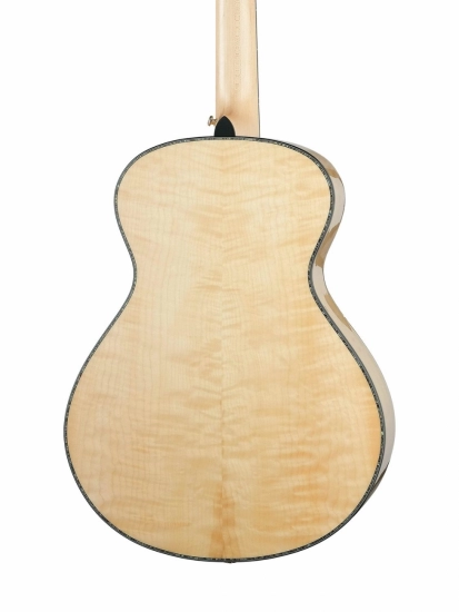 Электро-акустическая гитара Cort Gold Passion WCASE NAT Gold Series фото 2