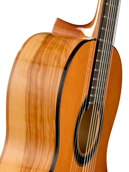 Классическая гитара Alhambra 8.890V Classical Conservatory 6 Olivo фото 3
