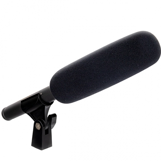 Микрофон-пушка конденсаторный Alctron DSG-1 фото 2