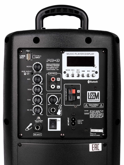 Акустическая система c радиомикрофоном и аккумулятором Leem PR-8 фото 7