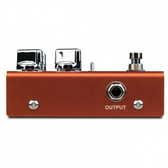Педаль эффектов Joyo R-04-ZIP AMP фото 6