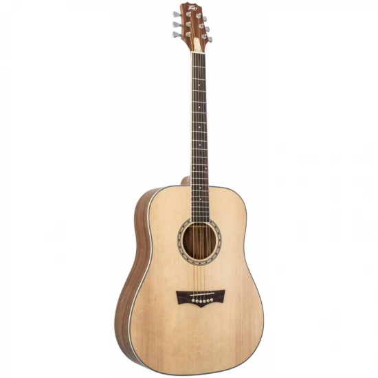 Акустическая гитара PEAVEY DW 2 фото 1