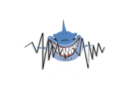 Echo Slayer