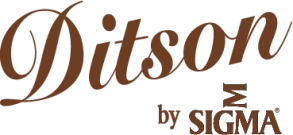 Diston Guitars